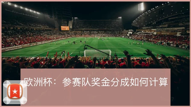 欧洲杯：参赛队奖金分成如何计算