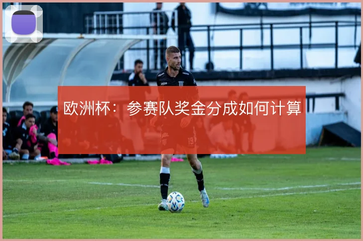 欧洲杯：参赛队奖金分成如何计算
